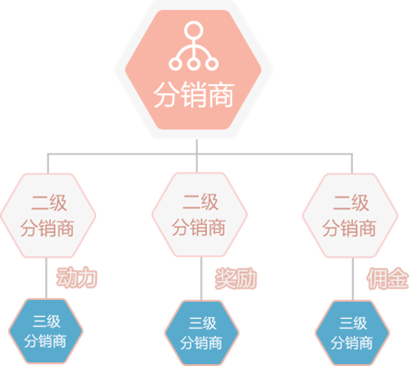 定制软件:企业发展的加速器
